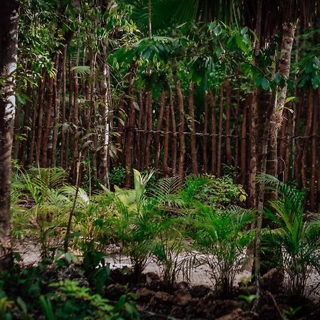 Готель Lunita Jungle Experience Пуерто-Морелос Екстер'єр фото