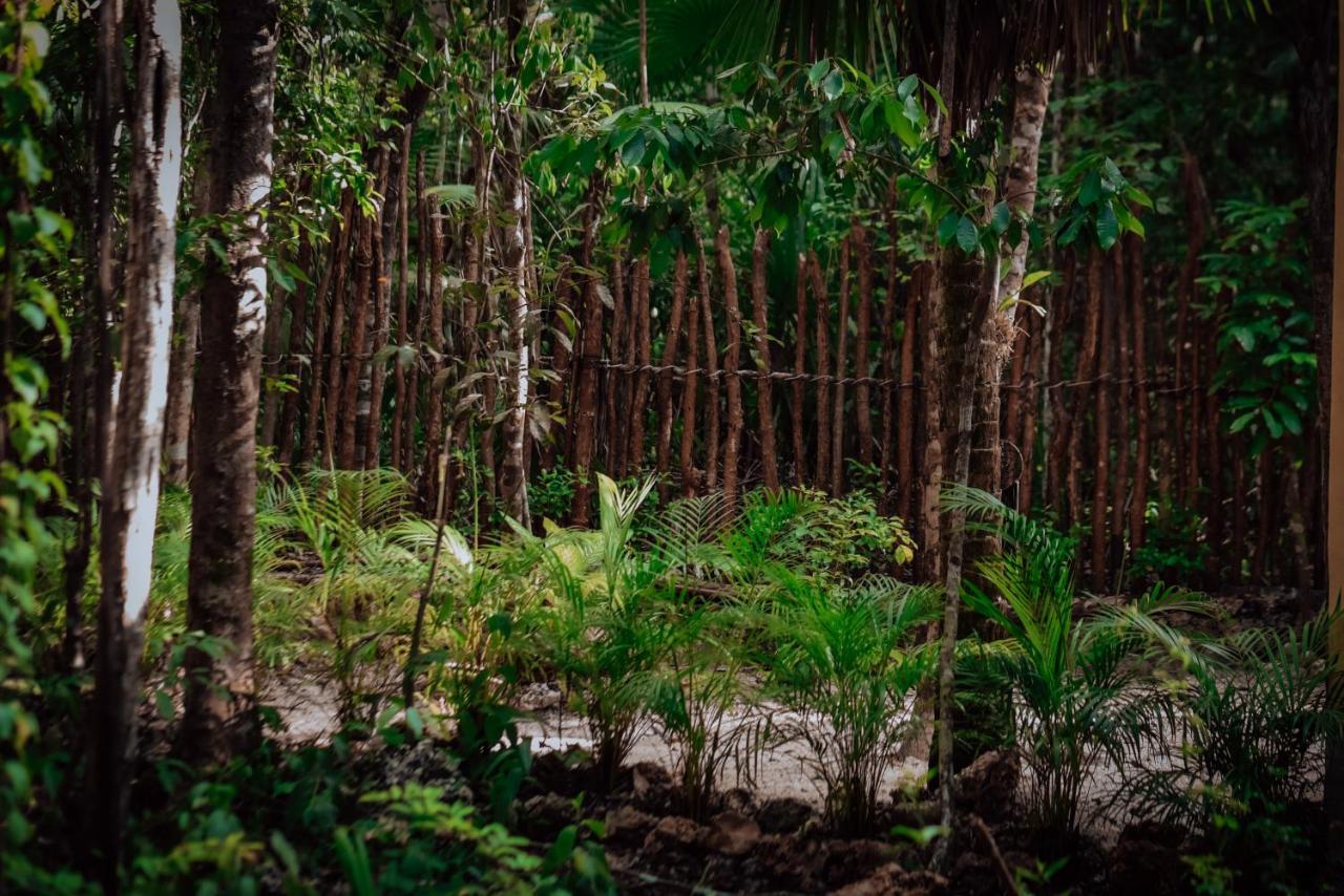 Готель Lunita Jungle Experience Пуерто-Морелос Екстер'єр фото
