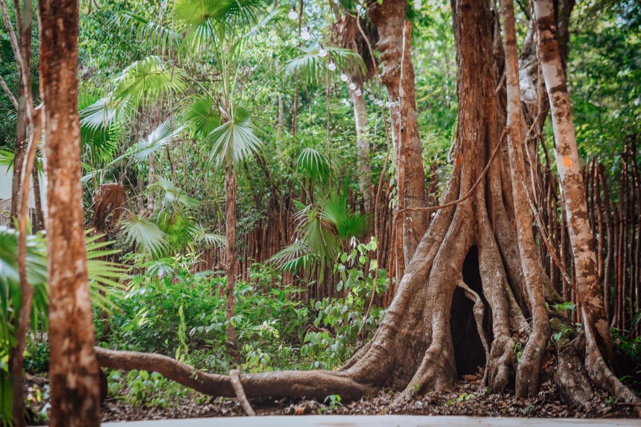 Готель Lunita Jungle Experience Пуерто-Морелос Екстер'єр фото
